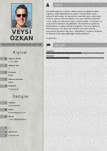 Mekatronik Mühendisliği Cv Örnekleri cv indir